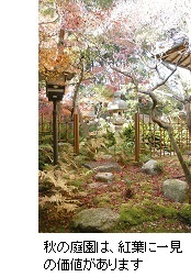 �G�߂ɂ��\���ς���뉀